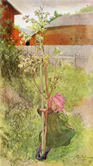 Herself: Apple Blossoms