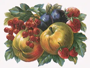 Figs: Apple Gooseberry