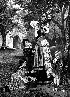 Pluck: Apple harvest, 1889
