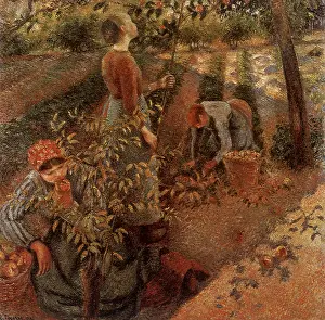 Pissarro: Apple-Picking, by Camille Pissarro