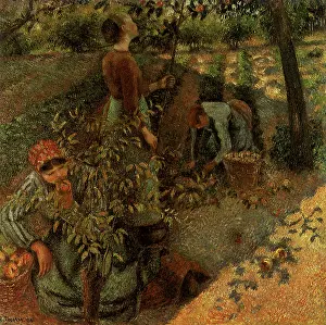 Pissarro: Apple Picking, by Camille Pissarro