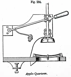 Peel: Apple quarterer