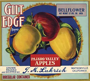 Stems: Apples