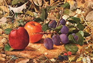 Plum: Apples, Plums, Berries