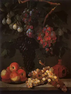 Plum: Apples, Plums, Grapes, and Pears