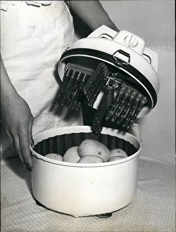 Phases: Appliances - Home Decor - Utensils