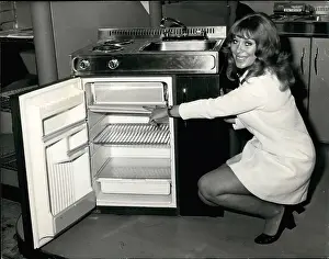 Housekeeping: Appliances - Home Decor - Utensils