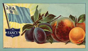 Ripe: Apricot Fruit Label