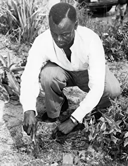 Masinga: April 1955 - The King! - The Garderner: At Home in