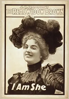 C1899: AQ Scammon's The real Widow Brown