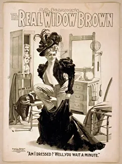 C1899: AQ Scammon's The real Widow Brown