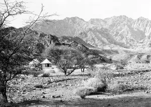 C1861: Aqabah, Encampment under Shittim Trees, Wady El Ithm c1861