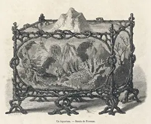 Aquariums: AQUARIUM BY FREEMAN
