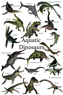 Variation: Aquatic dinosaurs poster