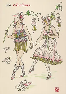 Aquilegia: Aquilegia Vulgaris
