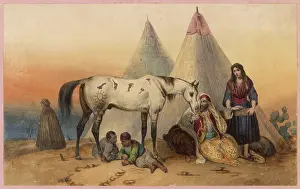 Treasured: ARAB AND ARAB HORSE