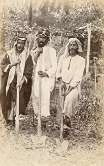 Hoes: Three Arab Gardeners - Morocco