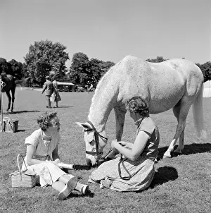 Roehampton: Arab Horse Society Show