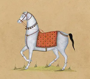 Accoutrements: ARAB OR INDIAN HORSE
