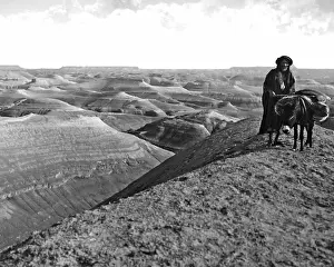 Burden: Arab man and mule, Holy Land