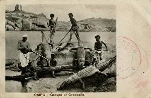 Crocodiles: Arab men with crocodiles, Cairo, Egypt