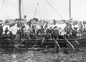 Oysters: Arab pearl divers at work, 1903