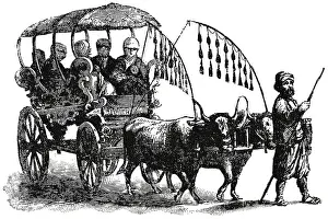 Araba: Araba - carriage - transportation - Syria
