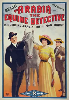 C1913: Arabia the equine detective