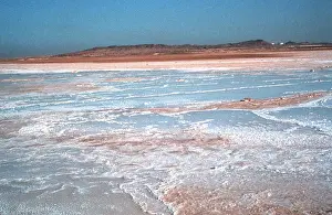 Crust: Arabian desert