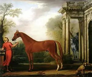 Wootton: Arabian Horse Named Horn