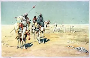 Trackless: ARABS IN THE DESERT