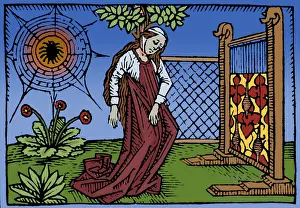 Arachne: Arachne the Weaver, Greek Myth
