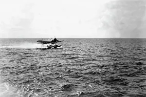 Winkelmann: Arado Ar 196 Seaplane, 1941