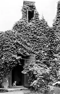 Bindweed: Arbat street in Moscow, 1979
