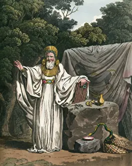 Druid: ARCH DRUID