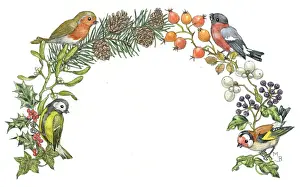 Medici Society (molly Brett): Arch shaped design with great tit, robin, etc