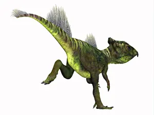 Neoceratopsia: Archaeoceratops dinosaur running
