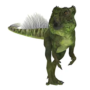 Talon: Archaeoceratops dinosaur on white background