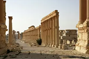 Infinitude: Archaeological site of Palmyra, Syria