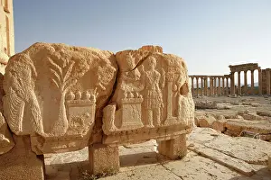 Qalat: Archaeological site of Palmyra, Syria
