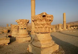 Archaeological site of Palmyra, Syria