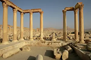 Infinitude: Archaeological site of Palmyra, Syria