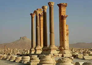 Infinitude: Archaeological site of Palmyra, Syria
