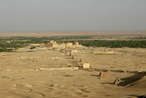 Infinitude: Archaeological site of Palmyra, Syria