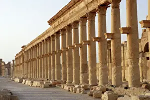 Infinitude: Archaeological site of Palmyra, Syria