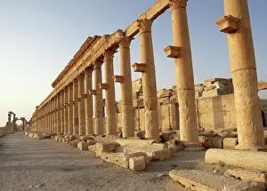 Infinitude: Archaeological site of Palmyra, Syria