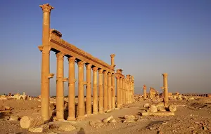 Infinitude: Archaeological site of Palmyra, Syria