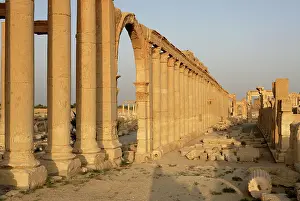 Infinitude: Archaeological site of Palmyra, Syria
