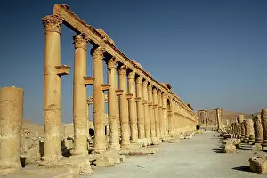 Infinitude: Archaeological site of Palmyra, Syria