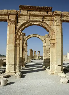 Septimus: Archaeological site of Palmyra, Syria